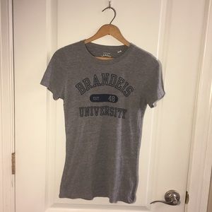 Brandeis University College Gray Heathered T-Shirt